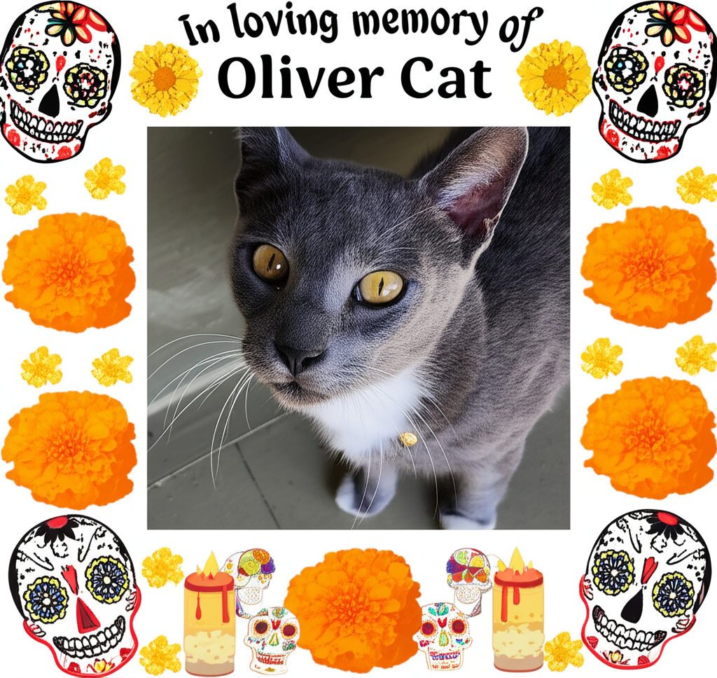 Oliver Cat Frame 8